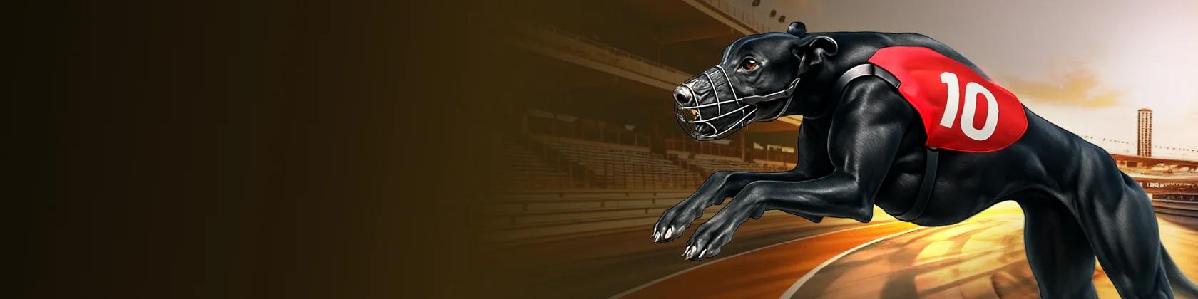 provider.vsports.title