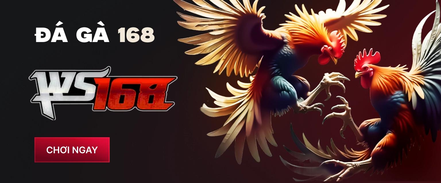 Đá Gà 168