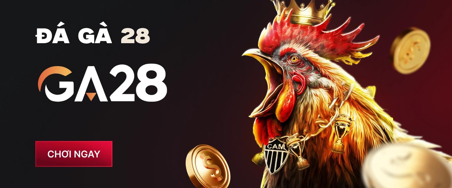 Đá Gà 28