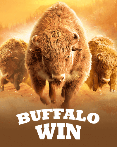 Buffalo Win