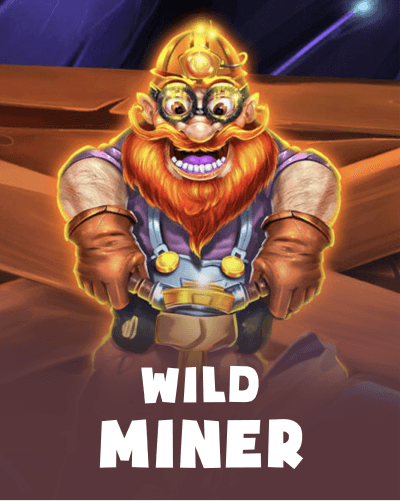 Wild Miner 