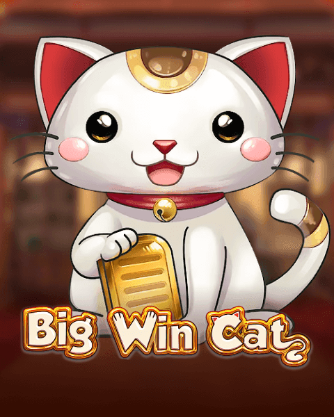 Big Win Cat