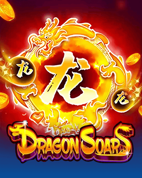 Dragon Soar
